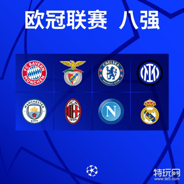 大的支持体 大的支持体